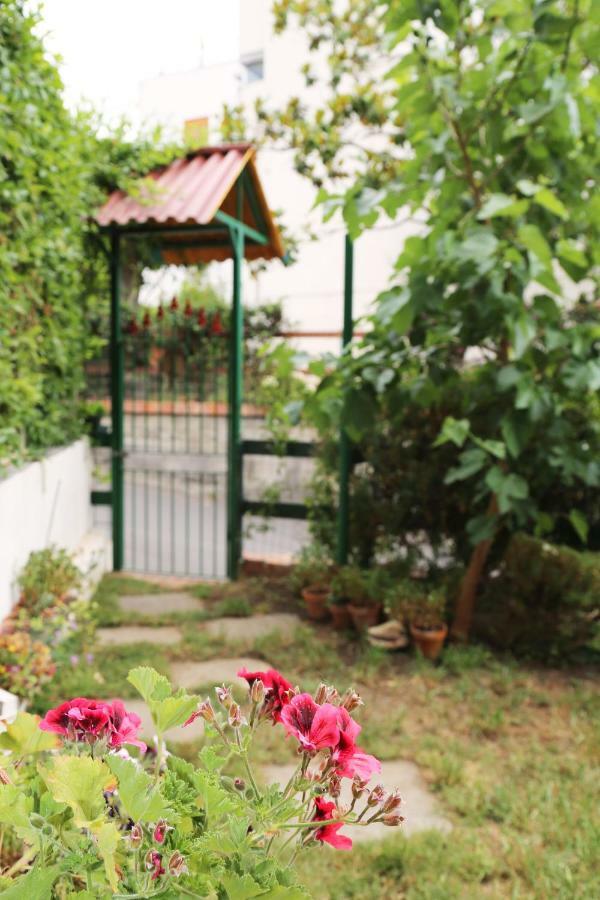 Casa Mirtilla أكيتْريتْسا المظهر الخارجي الصورة